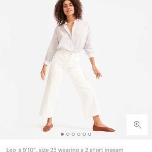 Everlane The Wide Leg Crop Pant ss 2 in bone color